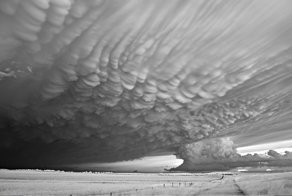Изумительные фотографии победителей конкурса Sony World Photography Awards 2018