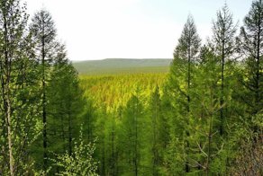 Как выжить в горах, пустыне и тайге. Невероятные истории спасения