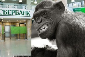 "Чудеса" Сбербанка