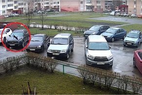 Житель Липецка выкинул кота с девятого этажа