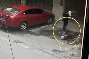Собака, упавшая из окна, покалечила прохожую