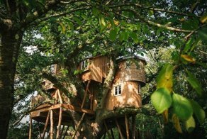 Как выглядит самый большой "дом на дереве" в Великобритании