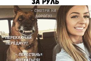 Смешные комментарии и картинки из сети