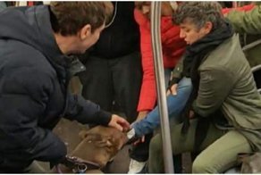 Питбуль напал на женщину в вагоне нью-йоркского метро