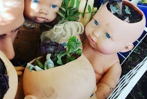 Напугай соседей - посади растения в голове куклы-младенца