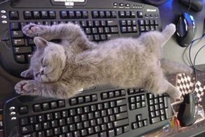 Позитивное настроение