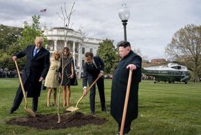 Трамп, Макрон и дуб: лучшие фотожабы на встречу глав государств в США