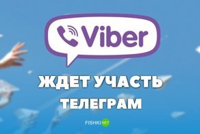 Viber может разделить участь Telegram, и стать самым популярным мессенджером