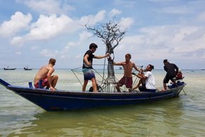 "Древо жизни": подводная конструкция для спасения кораллов