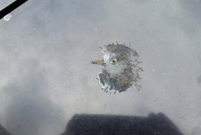 Вещи, в которых трудно не увидеть лица, и нет, вы не сошли с ума