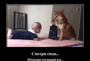 Свежая подборка демотиваторов, которые поднимут вам настроение