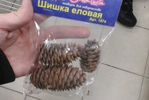 Гениальные идеи, которые позволят заработать ярдище денег