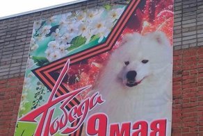Кузбасский фермер своеобразно поздравил ветеранов с 9 Мая