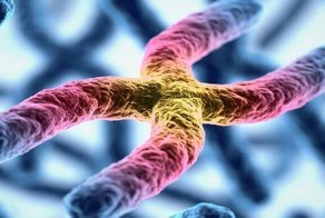 Красота внутри: микробиолог из Уфы показывает в инстаграме вирусы и бактерии, которые живут в нас