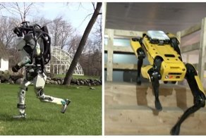 Роботов Boston Dynamics научили бегать трусцой по траве и самостоятельно ориентироваться