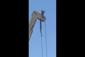 Енот-альпинист забрался на кран
