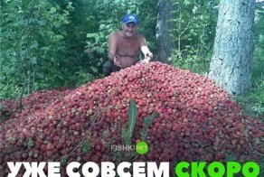 Картинки с надписями для настроения