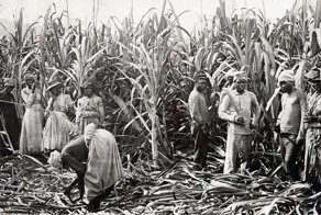 Невольники Британской империи