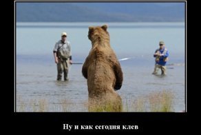 Свежая подборка демотиваторов, которые поднимут вам настроение