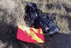 Человеческий пазл по-мексикански