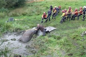 Почему болото засасывает