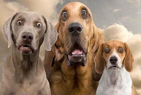 Неизвестное об известном: 5 фактов, которые вас удивят