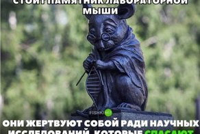 Картинки с надписями для настроения