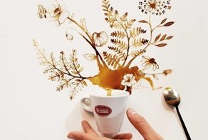 Кофейные рисунки от Джулии Бернарделли