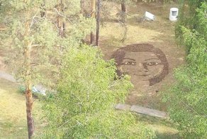 Около гомельской больницы парень выложил портрет девушки из шишек