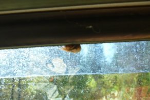 Майская рыбалка