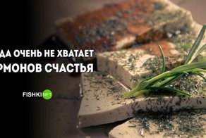 Накачиваем себя эндорфинами и дофаминами, не объедаясь при этом шоколадом