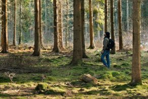 Удивительные факты о мире