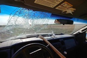 Топор прилетел в голову мужчине, пробив лобовое стекло