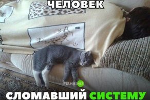 Картинки с надписями для настроения
