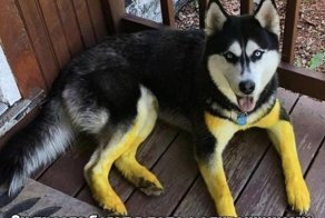 Подборка забавных картинок