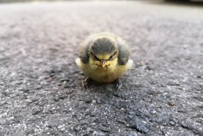 Фотоподборка за 23.05.2018