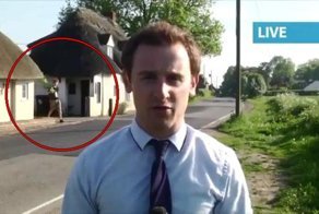 Парень с кустом в руках явно не ожидал попасть в прямой эфир