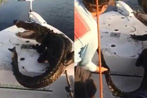 Гена залез не в ту лодку, ребята быстро его прогнали