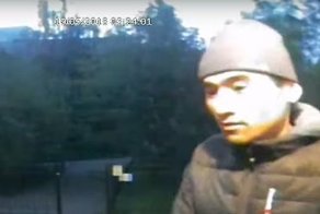 В Санкт-Петербурге девушки самостоятельно отбились от извращенца