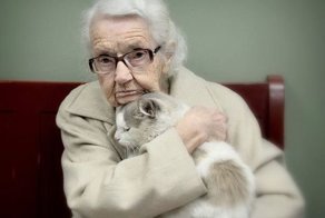 20 немолодых кошек, которые были взяты из приюта добрыми людьми