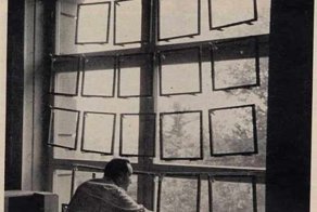 Пауки под воздействием наркотиков