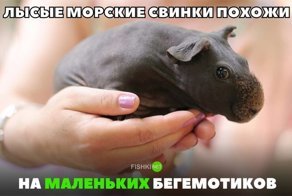 Картинки с надписями для настроения