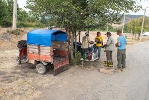 Стоит ли покупать вино у придорожных торговцев в Грузии