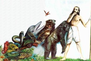 Опровергнута самая популярная теория эволюции