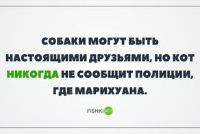 Картинки с надписями для настроения