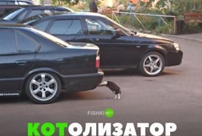 Подборка автомобильных приколов