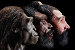 Видео: эволюция человеческого лица за последние 6 миллионов лет