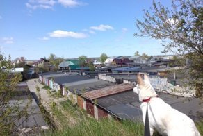Уютные гаражи из российских дворов