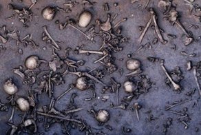 Забытая битва Бронзового века. Мумии и скелеты