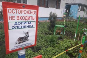 Когда народное оформление двора переходит все границы